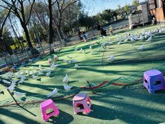 -长白岛森林公园