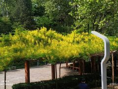 -西安市长乐公园