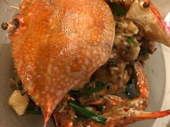 -Red Lobster