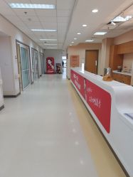 -北京爱育华医院-医疗美容科