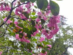 -成都杜甫草堂博物馆