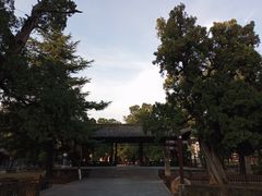 -黄帝陵