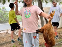 -马陆小张葡萄园农家乐