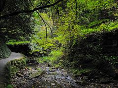 -夏霖九天银瀑风景区