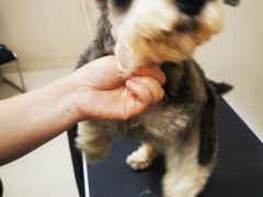 -艾贝尔宠物医院(华府骏苑店)