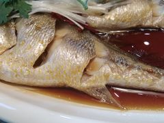 -鲜小岛·铜锅涮肉