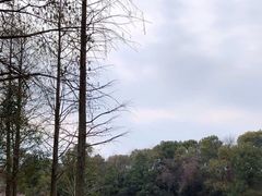 -艾溪湖湿地公园