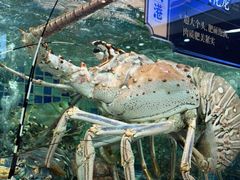 -欧记·龙城港(欣都店)