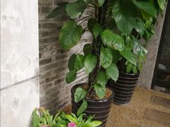 -上楼私房菜(院士路店)
