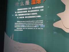 -中国湿地博物馆