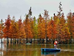 -白鹭湾湿地公园