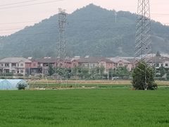 -李东农庄(中南百草园地标店)
