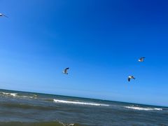 -那香海钻石沙滩浴场