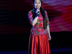 -陕北民歌大舞台