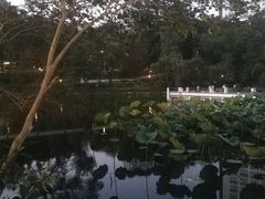 -大埔公路-马料水段香港中文大学(公交站)