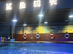 -重庆欢乐海底世界
