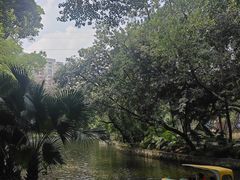 -晓港公园