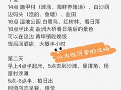 -盐洲岛