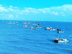 -北海金海湾红树林生态旅游区