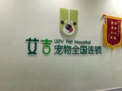 -艾吉宠物医院·疑难杂症转诊中心·猫友好(碧江路院)
