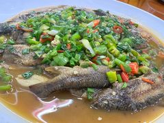 -全乐鱼馆·淳牌有机鱼直营店