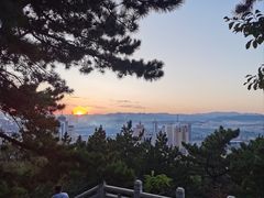 -望溪公园