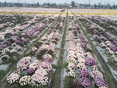 -中国天府农业博览园