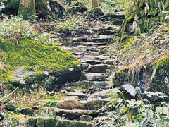 -东天目山风景区