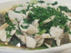 香葱灼鲈鱼-廣味潮鲜·一品潮滋味(五道口店)