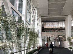 -厦门高崎国际机场-T3航站楼