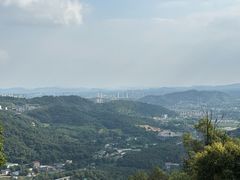 -桃花岭景区