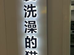 -爱洗澡的猫(望京店)