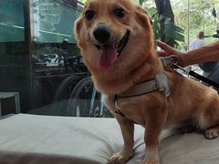 -瑞派宠物医院(锦江店)