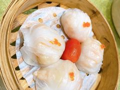 -有心德(麦地店)