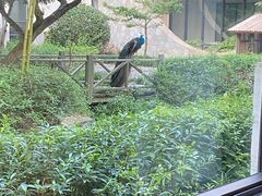 -苏州环秀晓筑养生度假村