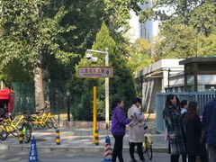 -三里屯东五街银杏大道