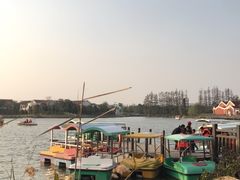 -上海长兴岛郊野公园