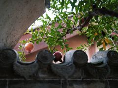 -胡氏古民居建筑