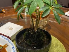 -鹰龙海畔度假酒店(咸祥店)