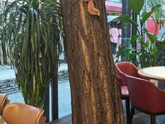 -老北京私房菜(798店)
