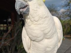 -普洱太阳河森林公园