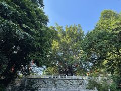 -广州市白云山风景名胜区