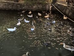 -香山小厨(南联路店)