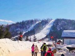 -亚布力新体委滑雪场