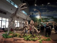 -自贡恐龙博物馆