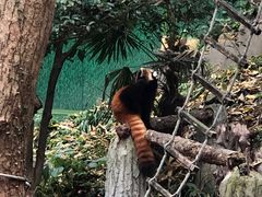 -杭州动物园
