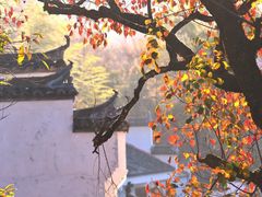 -塔川景区
