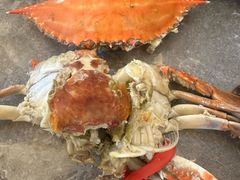 -四海蒸鲜蒸汽海鲜自助(北戴河店)