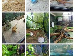 -多彩贵州城极地海洋世界