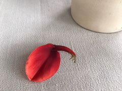 -悦哉·派对·草坪婚礼·围炉煮茶(三圣乡店)